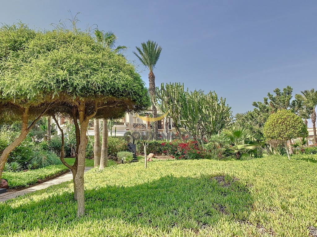 Agadir Real Estate Couximmo Buying Flats in Agadir